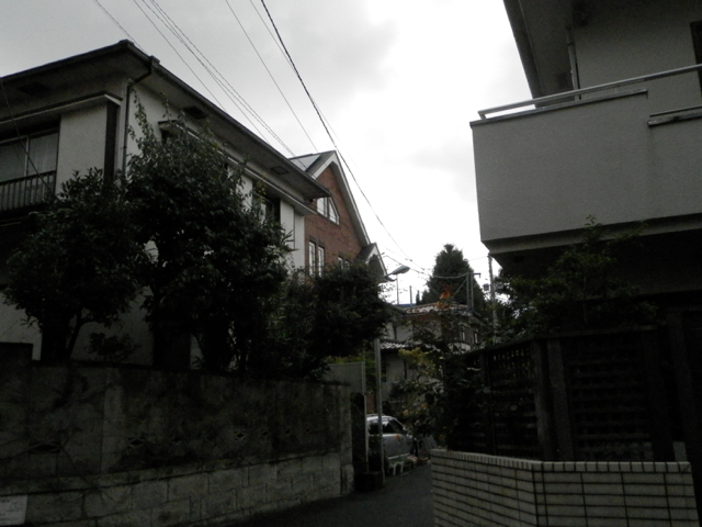Loading Image